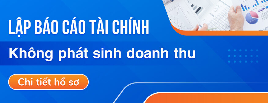 cach-lap-bao-cao-tai-chinh-nam-khong-phat-sinh-doanh-thu-01