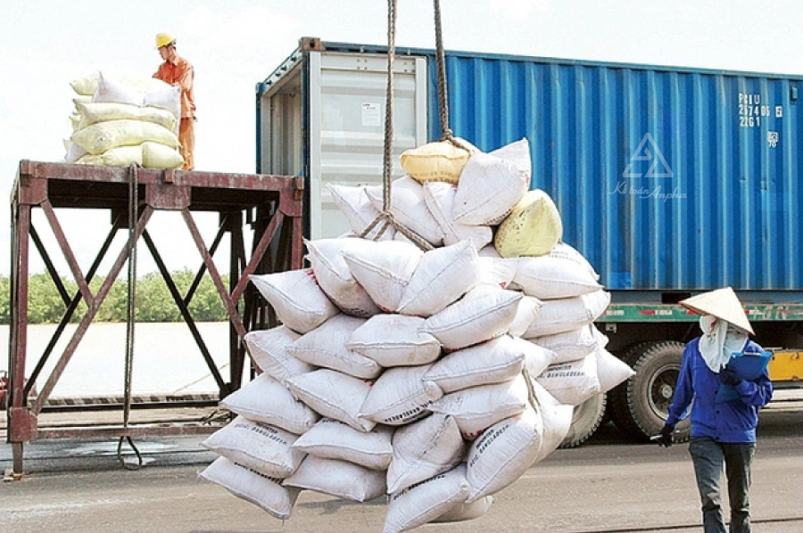 dang-ky-kinh-doanh-xuat-khau-gao-03