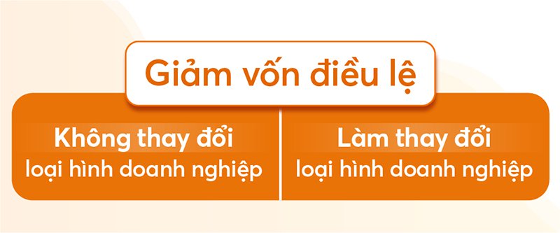 giam-von-dieu-le-cong-ty-trach-nhiem-huu-han-02