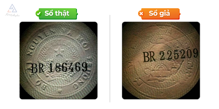 huong-dan-cach-phan-biet-so-hong-that-gia-03