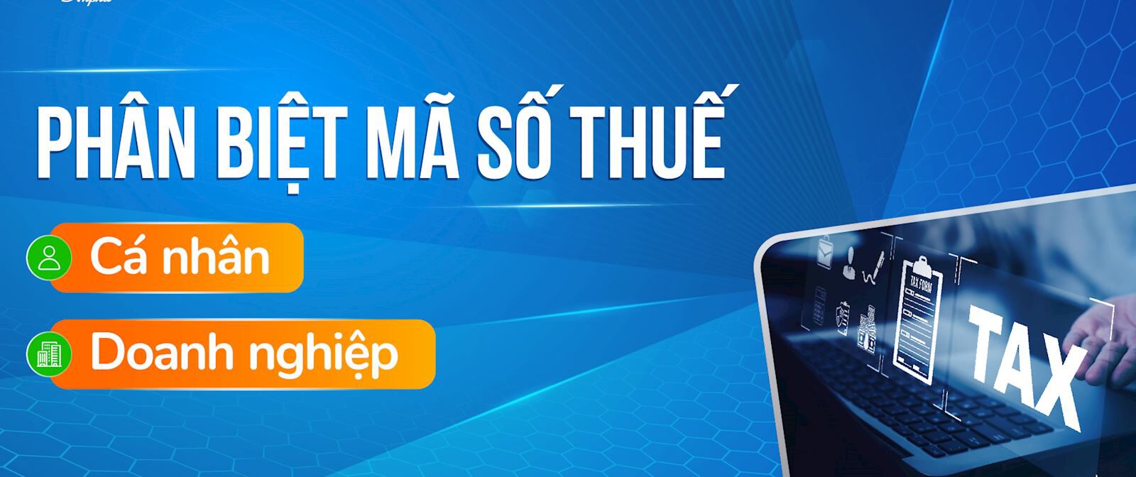 ma-so-thue-ca-nhan-va-ma-so-thue-cong-ty-01