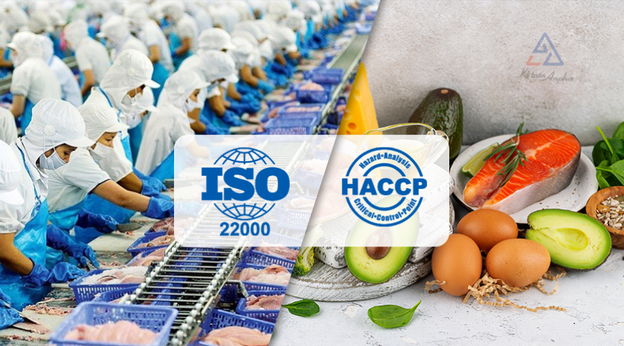 su-khac-nhau-giua-iso-22000-va-haccp-02