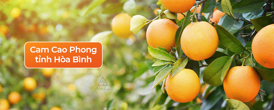 thu-tuc-dang-ky-chi-dan-dia-ly-02