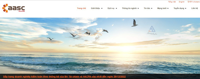 top-10-cong-ty-kiem-toan-uy-tin-tp-hcm-6