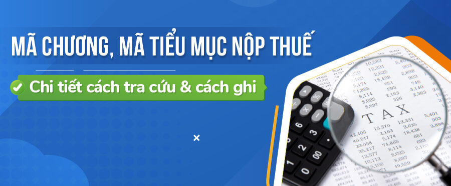 tra-cuu-ma-chuong-ma-tieu-muc-nop-thue-1