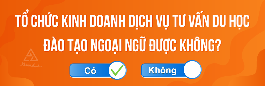 cong-ty-tu-van-du-hoc-co-duoc-dao-tao-ngoai-ngu-02