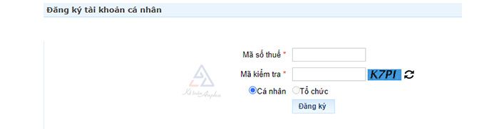 dang-ky-tai-khoan-thue-dien-tu-ca-nhan-08