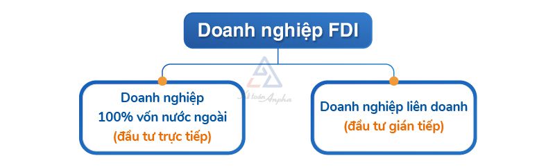 doanh-nghiep-fdi-la-gi-02