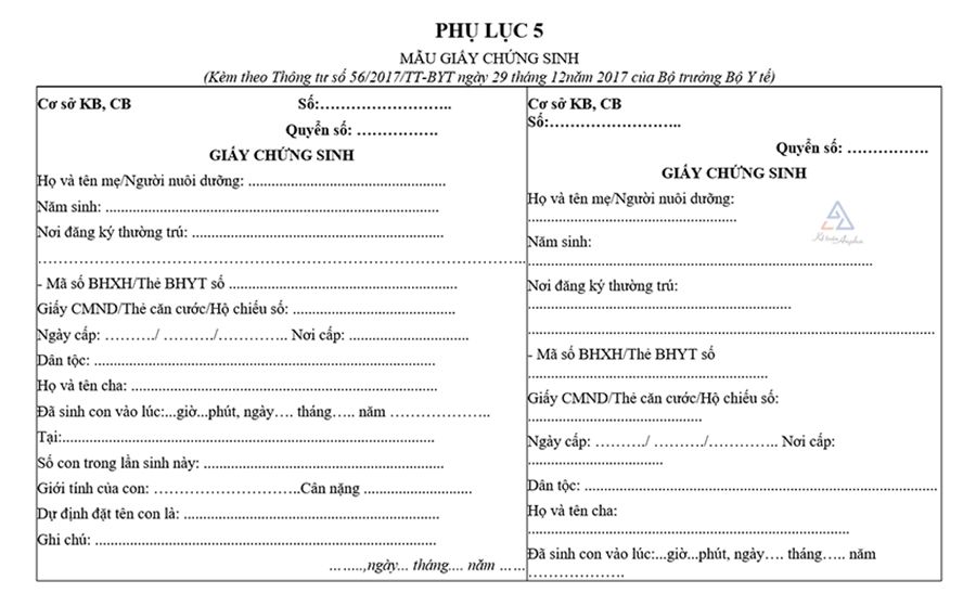 khong-co-giay-chung-sinh-dang-ky-khai-sinh-duoc-khong-03