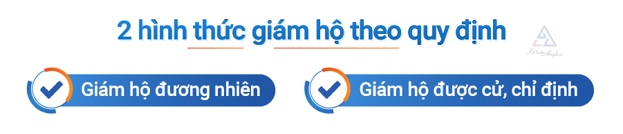 nguoi-giam-ho-la-gi-h2