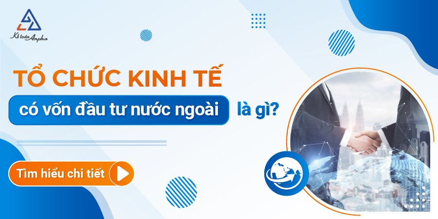 to-chuc-kinh-te-co-von-dau-tu-nuoc-ngoai-la-gi-01